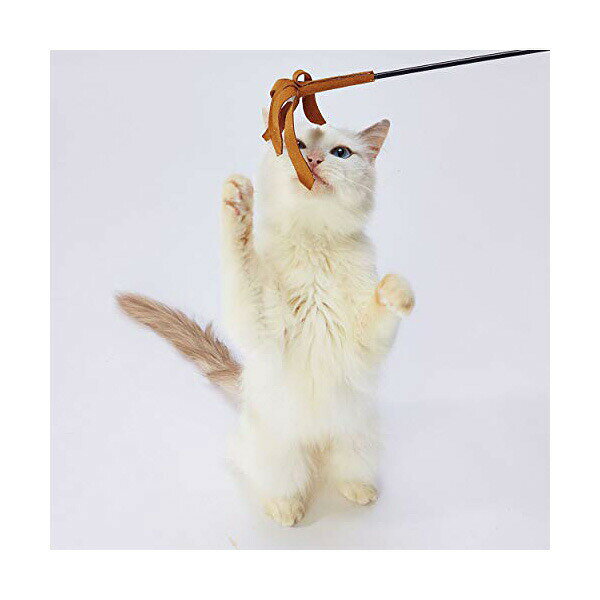 necoco 猫じゃらし レザー 牛革 キャット おもちゃ ペティオ Petio ストレス発散 運動 猫用品