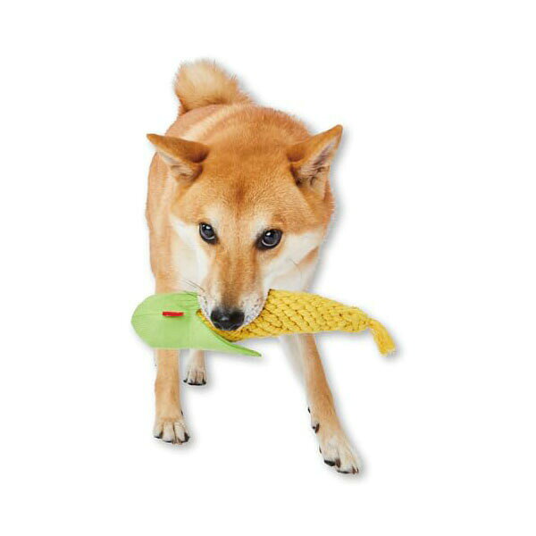 Rakuten - 【6個セット】 ペティオ 犬用おもちゃ 編んでるCORNデンタル M 小型犬から中型犬 Petio W27420 オールステージ 犬用品 ぬいぐるみ ロープ 中型犬 ペット 犬用 おもちゃ かわいい 小型犬 玩具 安心素材