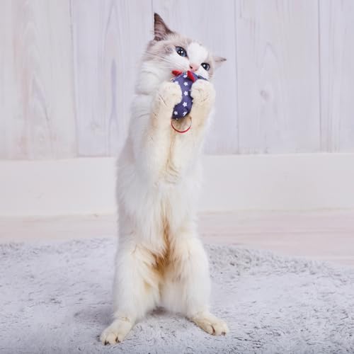 【6個セット】 ペティオ 猫用おもちゃ チューチューNOISYパニック スターマウス