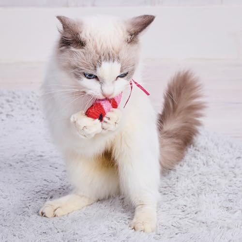 鼠标玩具 - ペティオ 猫用おもちゃ チューチューNOISYパニック エビ