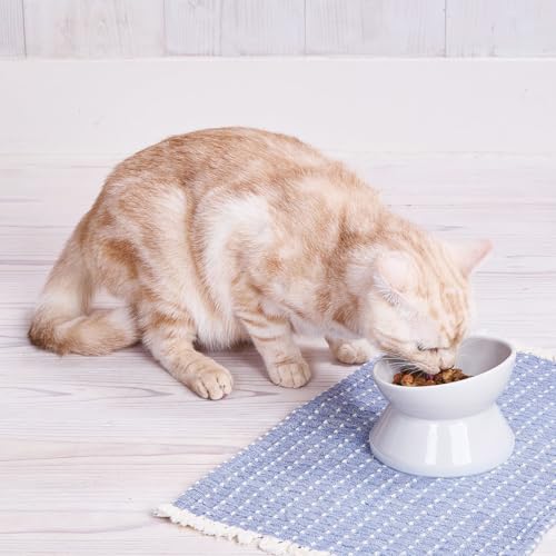 樂天商城 - 【6個セット】 ペティオ プロショップ事業部 犬猫用食器 手前が低くて食べやすい脚付き食器 S