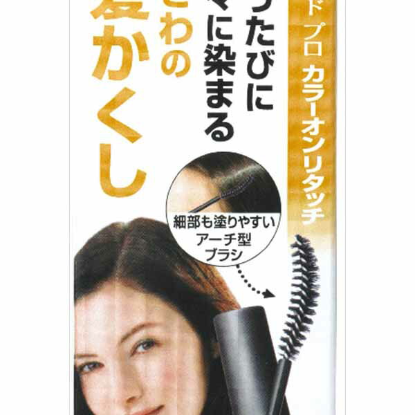 【6個セット】 サロンドプロカラーオンリタッチ白髪かくし ライトブラウン 15ML ヘアカラー・白髪用