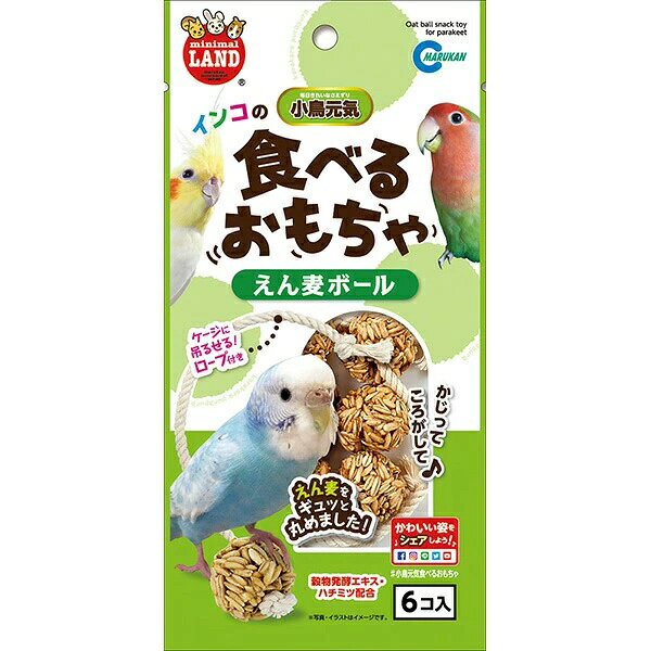 【3個セット】 マルカン インコ用 ボール おもちゃ MB-323 副食 小鳥用品 鳥用おやつ ケージ飾り インコおもちゃ MARUKAN bird toy