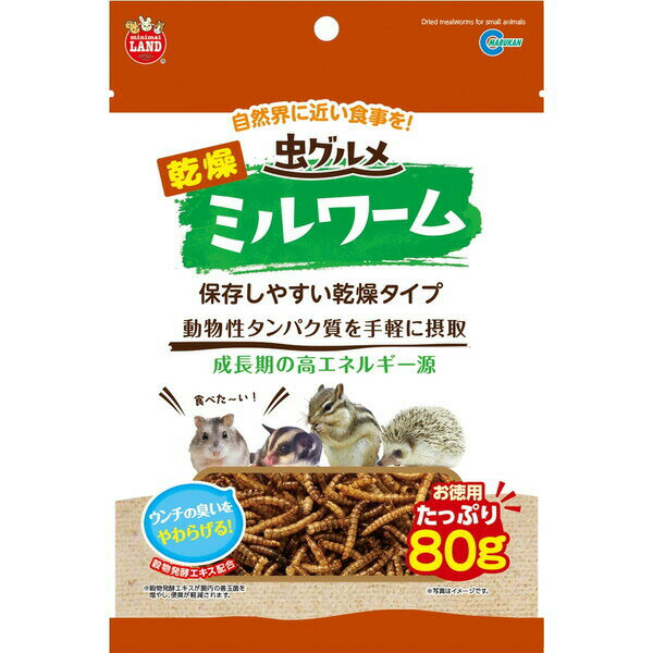 【12個セット】 マルカン 虫グルメ乾燥ミルワーム 80g ハリネズミ・モモンガ・ハムスター・リスなどの小動物 ML-237 MARUKAN 乾燥ミルワーム ハリネズミ 小動物用フード ミルワーム ペットフード ハムスター ペット用品 おやつ タンパク質 エサ 小動物 安心素材