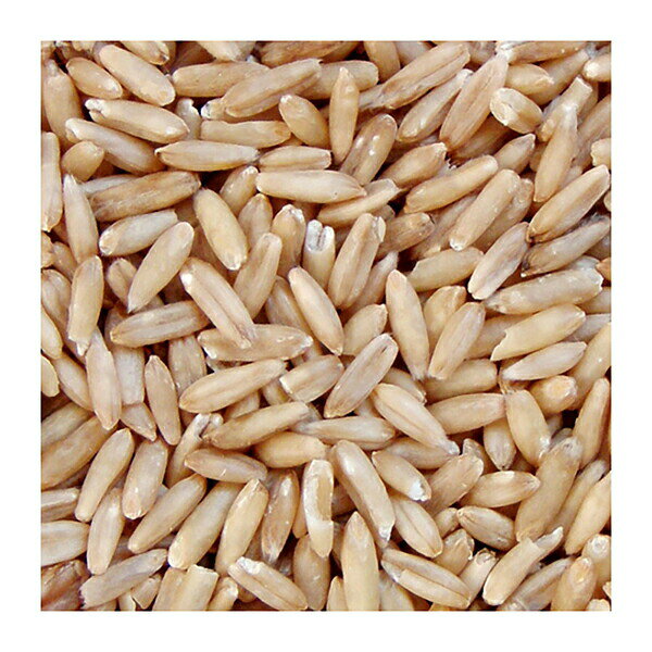 【10個セット】 ナチュラルペットフーズ エクセル オーツ麦皮むき 280g オーツ麦 栄養補助食品 エサ フード 皮むき 小鳥 安心素材 auc-ulmax-11705007 ウルマックス 楽天市場店 サンプル画像2
