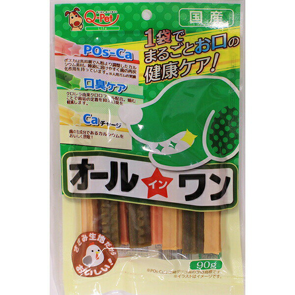 Chewing Gums - 【10個セット】 九州ペットフード オールインワン 90g 犬用おやつ 九州ペット おやつ イヌ 国産 ドッグ フード ペット ガム 安心素材