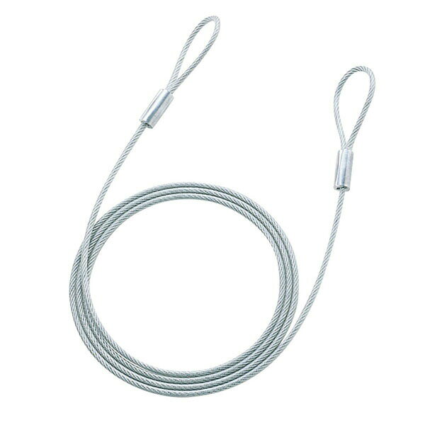 サンワサプライ SLE-8W-2N eセキュリティ（2.0M4.6mm） アクセサリ セキュリティ用品 SANWA SUPPLY 送料無料