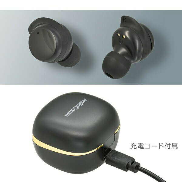 【2個セット】 オーム電機 HP-W430N-K 完全ワイヤレスホン (Bluetooth/USB-C給電/...
