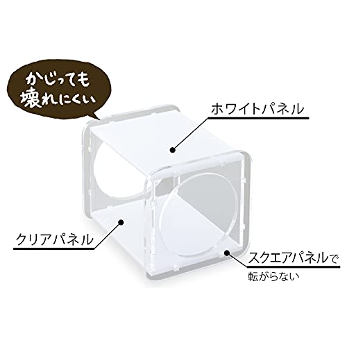 ウルマックス 楽天市場店のジェックス ハーモニー ボックス ハムスター 隠れ家 トンネル アクリル GEX Harmony ハウス 小動物用品｜アングル3