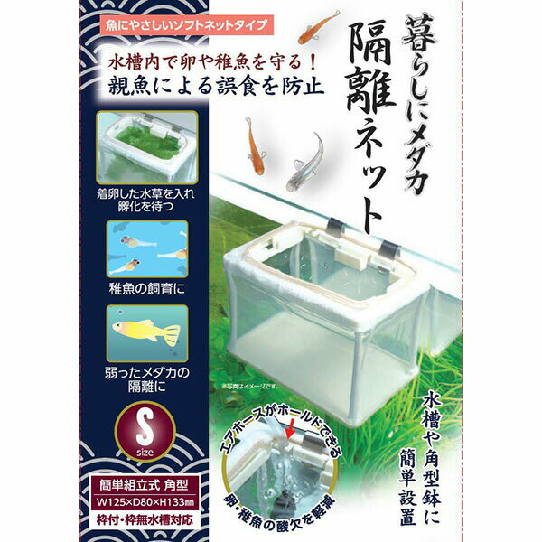 Tropical Fish Aquarium - 【6個セット】 寿工芸 暮らしにメダカ 隔離ネット S コトブキ