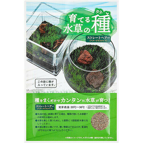 ウルマックス 楽天市場店のニッソー NAW-182 水草 ストレート ヘアーグラス 流木 アクアリウム 水槽 前景 天然 底砂｜アングル3