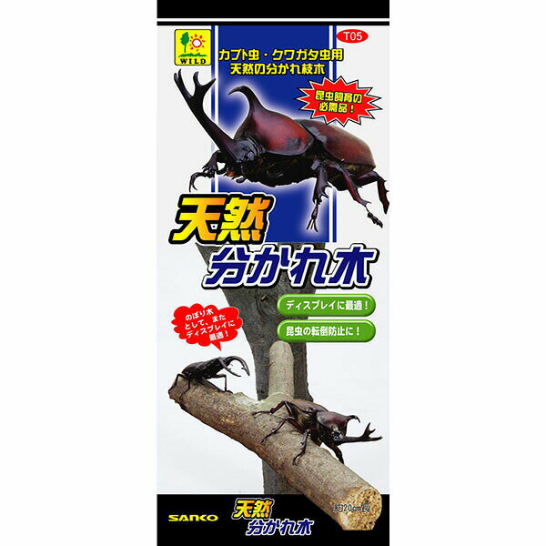 材料（膽量） 木材（朽木） - 【6個セット】 三晃商会 天然 分かれ木 昆虫用品 サンコー 安心素材