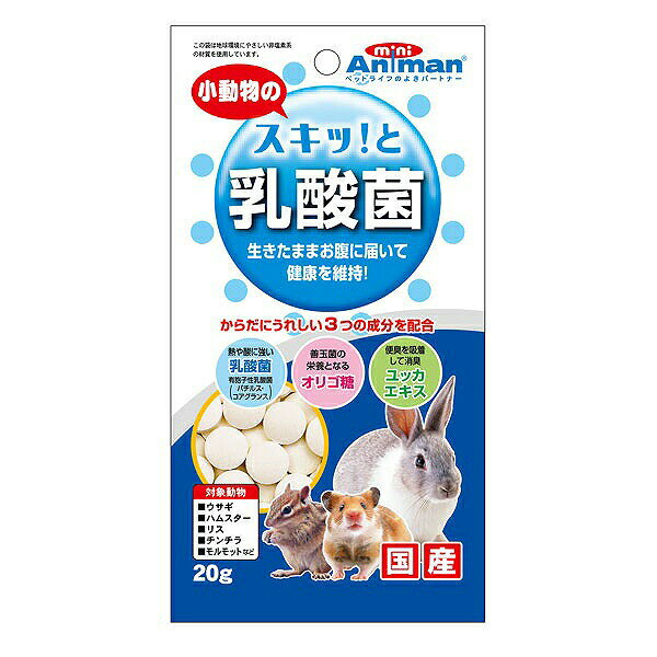 ドギーマン ミニアニマン 小動物のスキッ と乳酸菌 20g 小動物 おやつ 乳酸菌 ウサギ・ハムスター・リス・チンチラ・モルモット・デグーなど 全年齢対象 日本製 ドギーマンハヤシ ミニアニマン営業部 ハムスター チンチラ 国産 リス 安心素材 価格は1個のお値段です