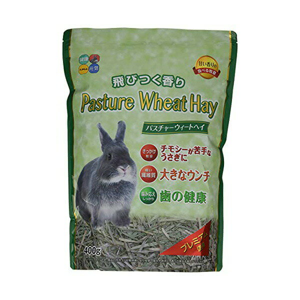 【3個セット】 ハイペット パスチャーウィートヘイ 400g 牧草 小動物 プレーリードッグ ウサギ用フード ウィートヘイ 小動物用品 ペットフード ハムスター ペット用品 歯の健康 おやつ チンチラ ウサギ エサ うさぎ用 小動物フードの主食 フード モルモット 安心素材