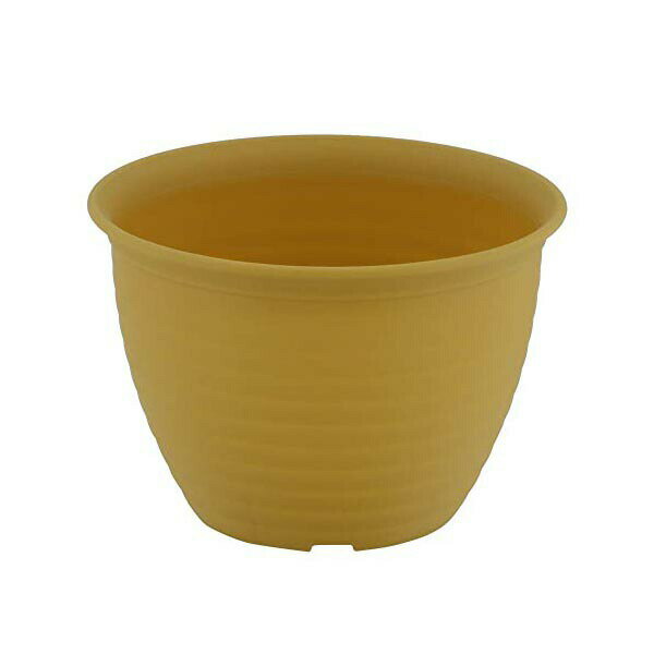 Glass Bowls - ベストコ フラワーリングポット 鉢 プランター 6号 モスイエロー MA-3266 植木鉢 観葉植物 園芸 ポット ガーデニング 園芸用品 オクト プラスチック 人気商品