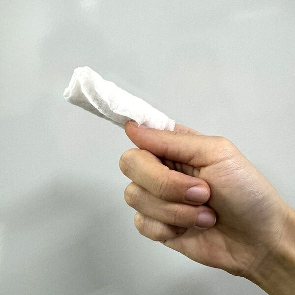 【10個セット】 本田洋行 なでなで フェイスシート 厚手 目やに用 犬猫用 緑茶エキ...