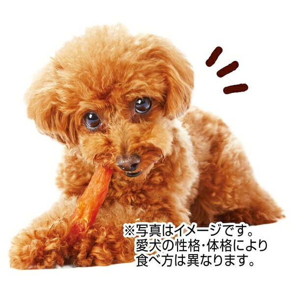 【6個セット】 ペティオ かわいくたべちゃう！ササミ 7本入