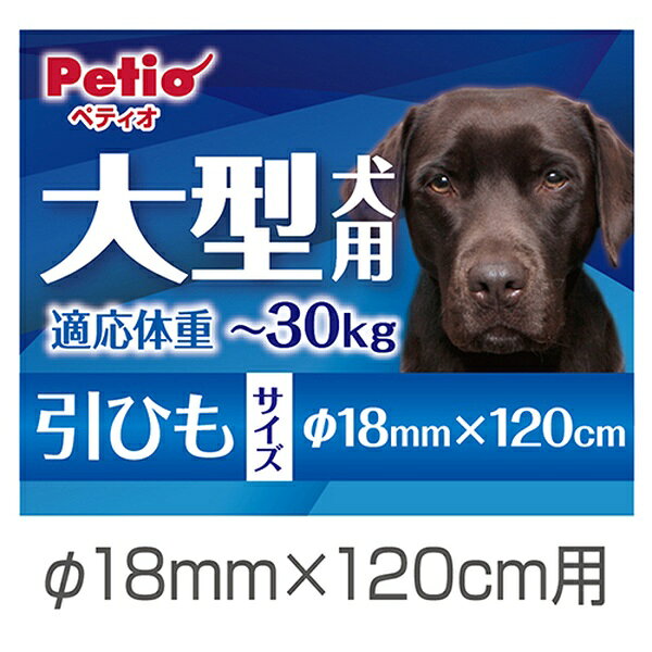 ペティオ リード ネオン ブルー 大型犬用 反射素材 散歩用 P-4903588572159 W57215...