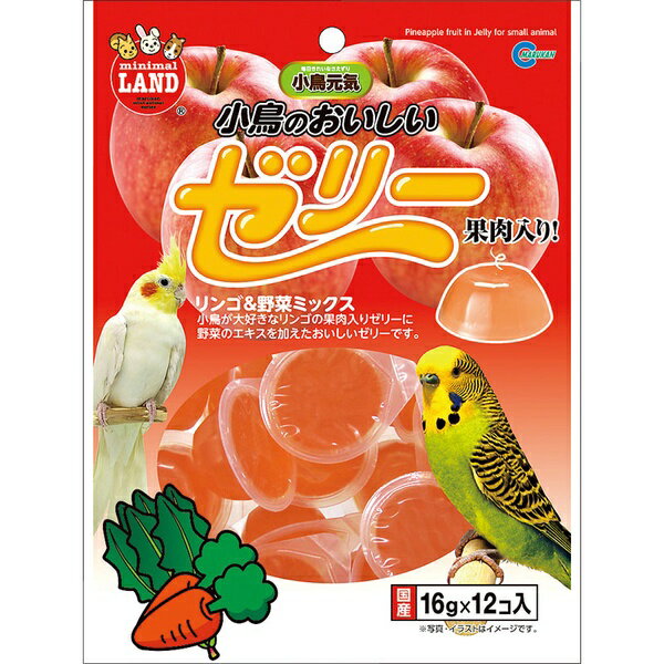 Birds - 【3個セット】 マルカン 小鳥のおいしいゼリー 16g×12個入