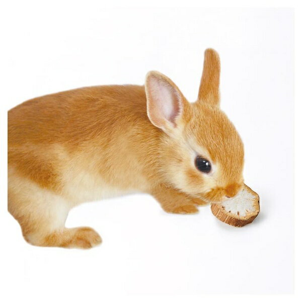 【3個セット】 マルカン ミニマル工房 ひまわりスライス 25g 3