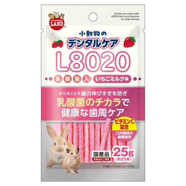 【6個セット】 マルカン 小動物のデンタルケア L8020乳酸菌入り いちごミルク味 25g