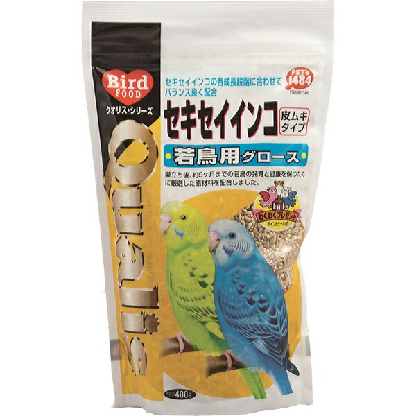Rakuten - 【10個セット】 ペッズイシバシ クオリス セキセイインコ 若鳥用 (皮ムキタイプ) 400g
