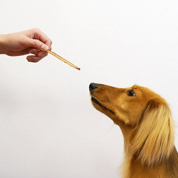 【6個セット】 ドギーマン ハヤシ 犬用おやつ 軟骨サンド 野菜ミックス 犬用間食 ...