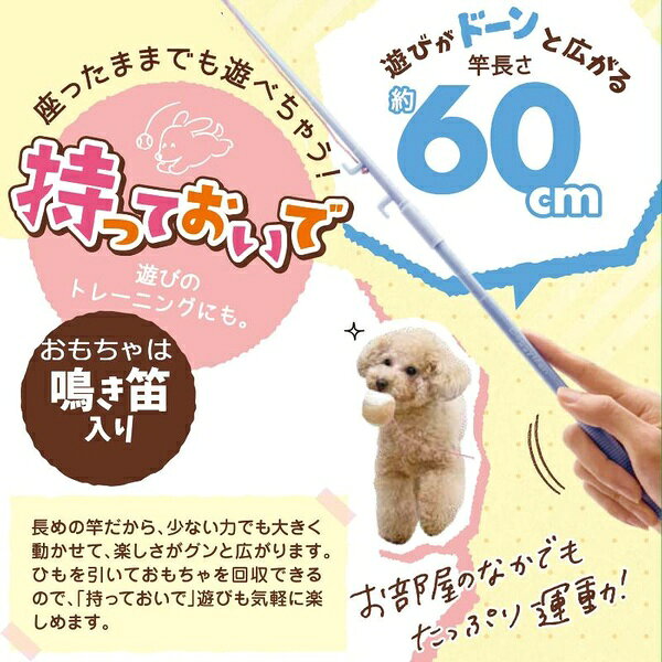 ウルマックス 楽天市場店のドギーマンハヤシ じゃれワンワン！ ふわふわボール｜アングル3