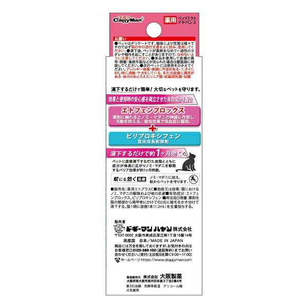 サンプル画像2