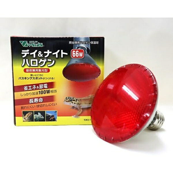 Amphibians, Reptiles - ビバリア Vivaria 爬虫類用ハロゲン保温球 デイ&ナイトハロゲン 66W