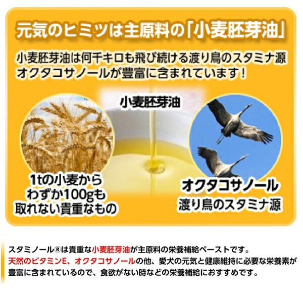 【10個セット】 アース・ペット スタミノールV 100g