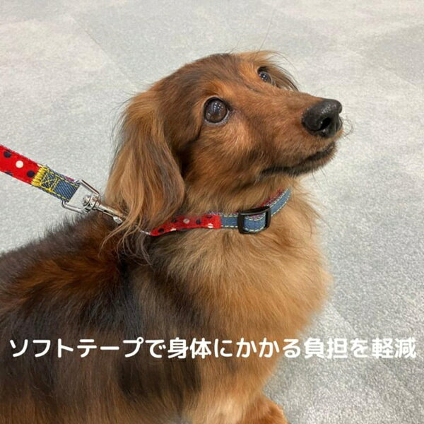 【6個セット】 アース・ペット ターキー ハンドラー エブリデイ ダブルDカン首輪 ...