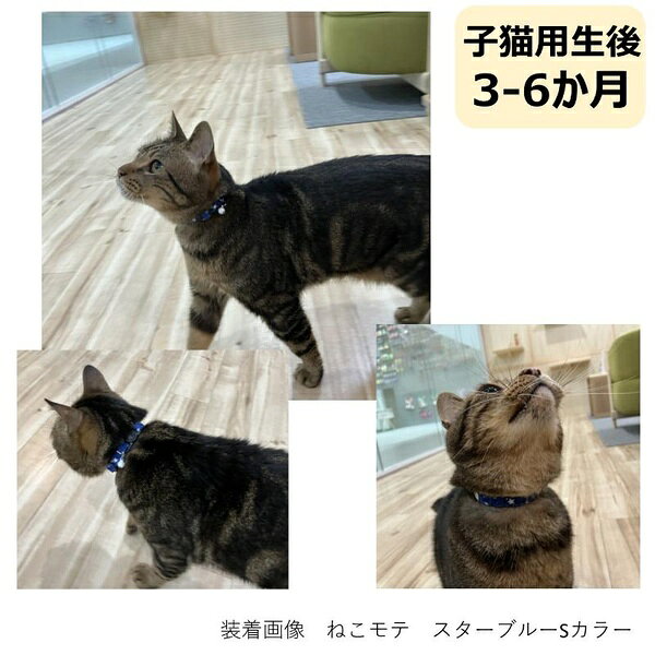 アース・ペット ターキー ねこモテ セーフティー外れる機能付 反射鈴付首輪 スター...