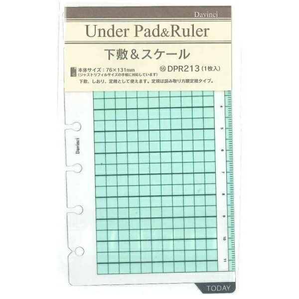 【5個セット】 レイメイ藤井 下敷&スケール DPR213