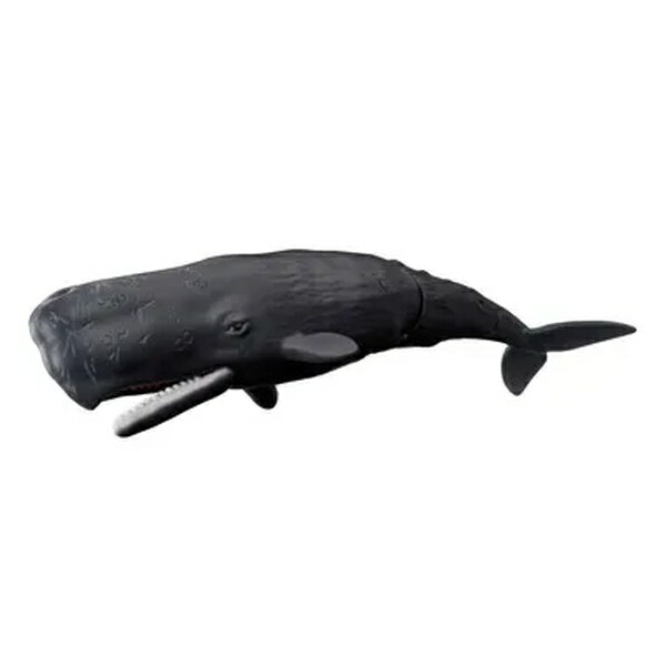 楽天市場】マッコウクジラ（フィギュア｜コレクション）：ホビーの通販