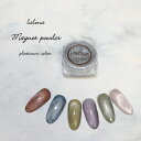 ラローナ LALONA プラチナシルバーマグネットパウダー ( 1g )( 2タイプ ) ちょい足しマグネットパウダー / 微粒子 / 高品質ネイルパウダー / サロン向け