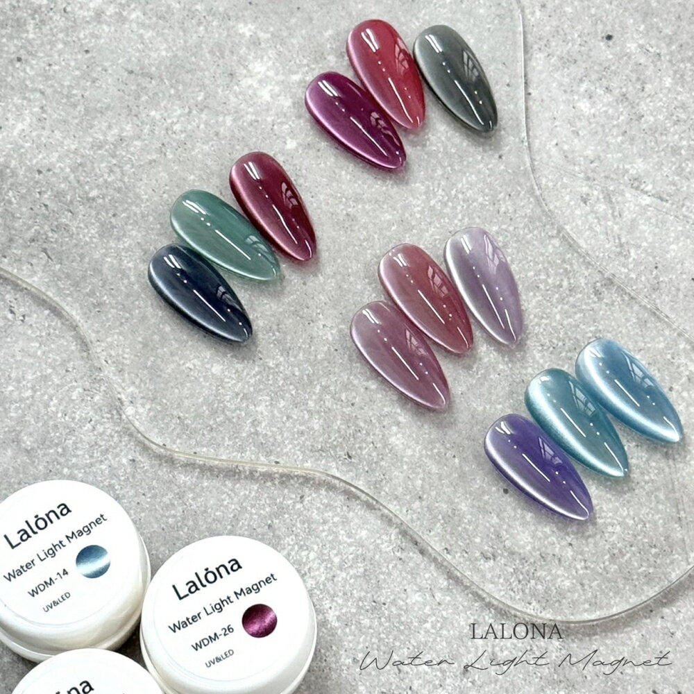 ������� [ LALONA ] �����������饤�ȥޥ��ͥåȥ�����( 12�����å� )( WDM )������ͥ���/�ͥ���/����եͥ���/���/�ޥ�������/�ڹ�ͥ�...