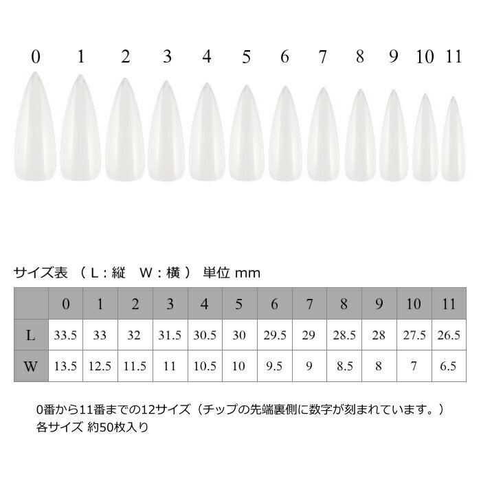 [ 業務用 ] ポイントロングチップ ( 600枚 ) ネイルチップ/ジェルネイル/サンプルチップ/ポイントチップ/ロングチップ/フルカバー