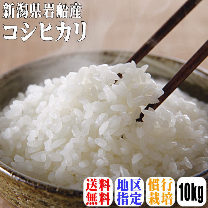 【送料無料】【岩船地区限定】【令和5年産】新潟県岩船産コシヒカリ　10kg(5kg×2)【沖縄県・離島は別途送料】新潟県産 コシヒカリ 岩船