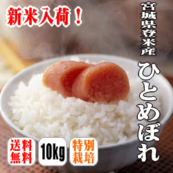 【送料無料】【特別栽培米】【30年産】宮城県登米産ひとめぼれ　10kg(5kg×2) 【北海道・沖縄・離島は別途送】