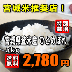 【送料無料】【特別栽培米】【29年産】宮城県登米産ひとめぼれ　5kg