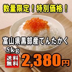★レビューを書くだけで300円OFF！★【送料無料】【22年産】富山県黒部産てんたかく　5kgのサムネイル