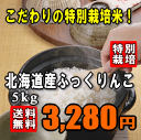 【送料無料】【特別栽培米】【29年産】北海道産ふっくりんこ　5kg