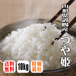 【送料無料】【今話題の人気米】【特別栽培米】【30年産】山形県置賜産つや姫　10kg(5kg×2) 【北海道・沖縄・離島は別途送料】