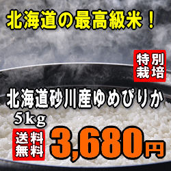 【送料無料】【米のヒット甲子園 大賞】【特別栽培米】【令和3年産】北海道砂川産ゆめぴりか　5kg 【北海道・沖縄県・離島は別途送料】米のヒット甲子園 大賞