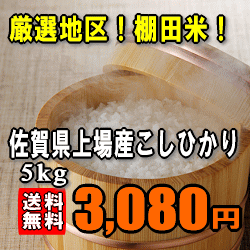 【送料無料】【上場地区限定】【令和1年産】佐賀県産コシヒカリ　5kg...