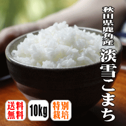 【送料無料】【令和5年産】【特別栽培米】秋田県鹿角産淡雪こまち　10kg(5kg×2) 【沖縄県・離島は別途送料】【低アミロース米】【メレンゲの気持ち】