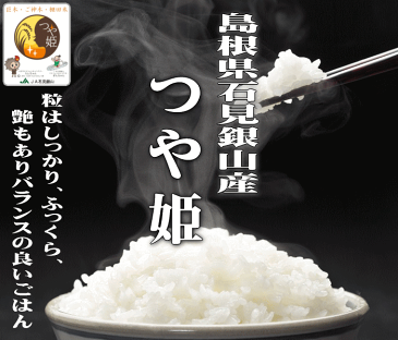 【ご神木棚田米】【送料無料】【令和1年産】【世界遺産米】【特別栽培米】島根県石見銀山つや姫 5kg ※北海道・沖縄県・離島は別途送料【北海道・沖縄・離島は別途送料】 ご神木 棚田 つや姫 島根県産 つや姫