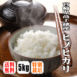 【送料無料】【30年産】【棚田米】【特別栽培米】宮崎県高千穂産ヒノヒカリ　5kg【北海道・沖縄・離島は別途送料】 高千穂 ヒノヒカリ 棚田米 プレミアム米のサムネイル