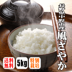 【送料無料】【令和5年産】【小柳農園】【特別栽培米】長野県中野市産 風さやか　5kg【北海道・沖縄県・離島は別途送料】 満天★青空レストラン 献上米 小柳農園 風さやかのサムネイル